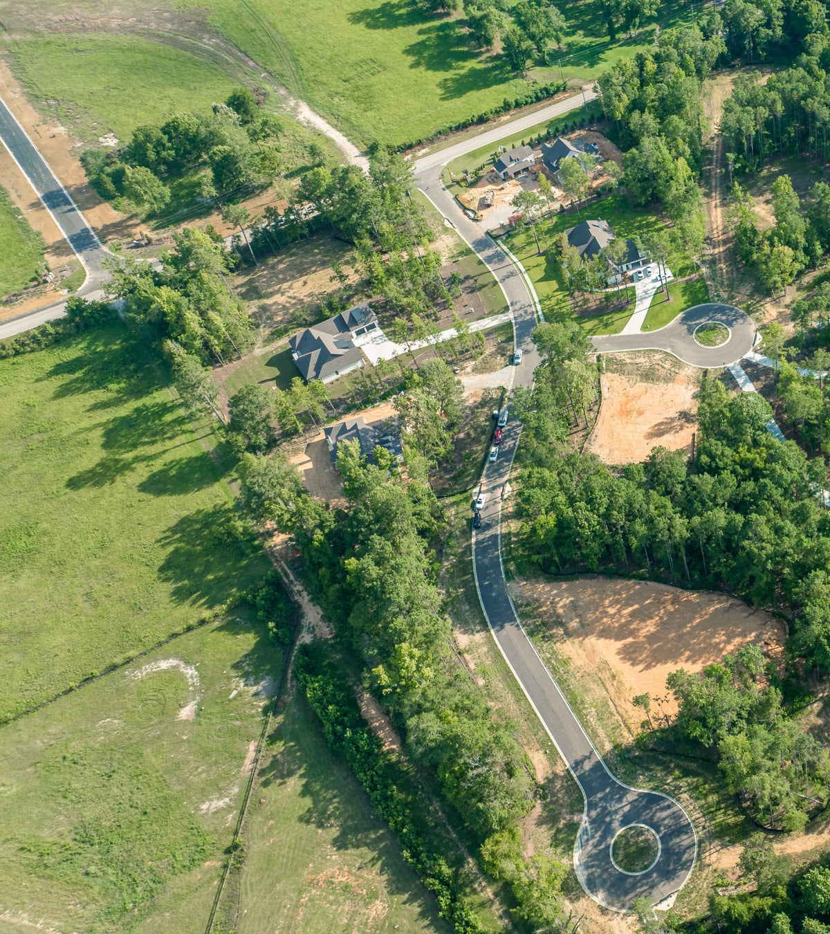 A house among trees at Estates at Arbor Woods, Auburn
